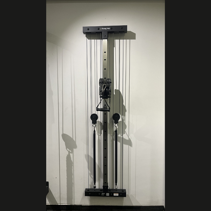 Wall-Mounted Dual Adjustable Cable Pulley System